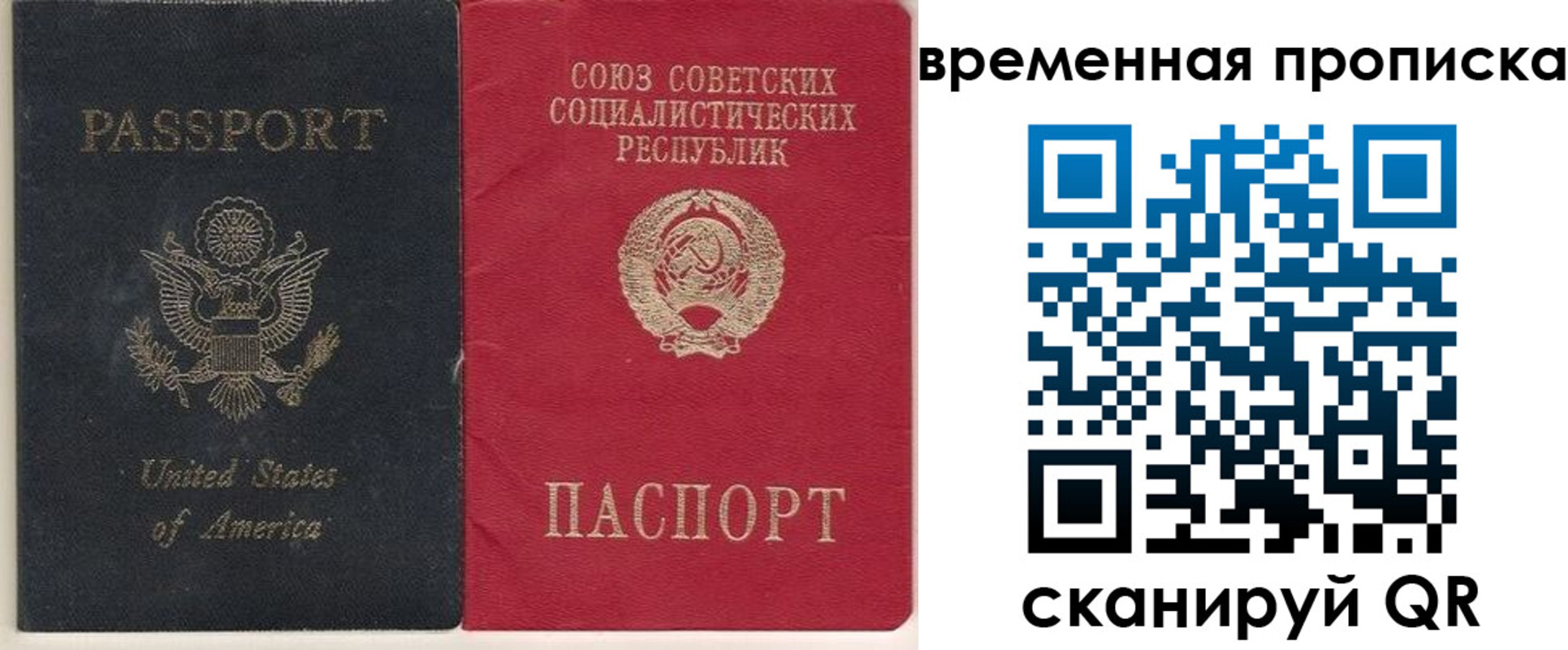 прописка для школы в Высоковске